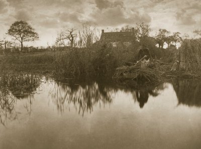 Gathering the Gladdon, c.1886 by Peter Emerson und Thomas Goodall